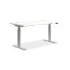 HON Coordinate 48"W x 24"D Laminate Height-Adjustable Desk in White | Ergonomic Workspace Solution